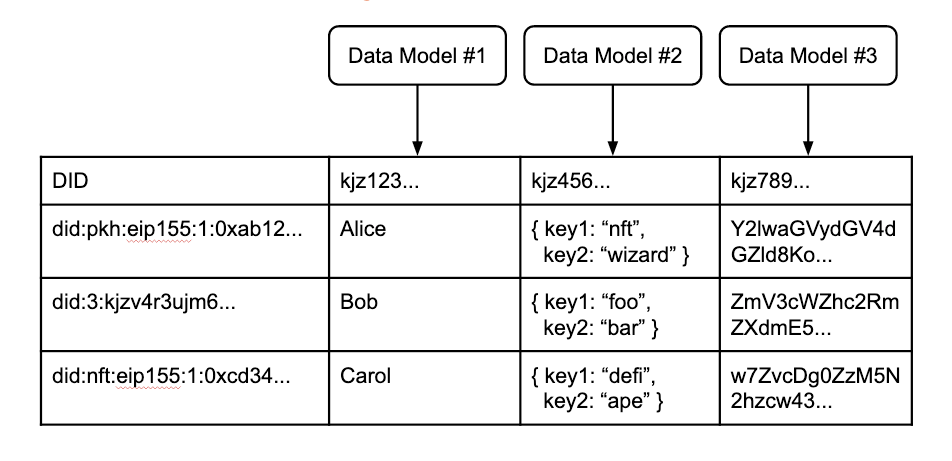 A distributed, virtual user table, with a variety of DIDs from different networks, developer-defined data models, and the records associated to each. 